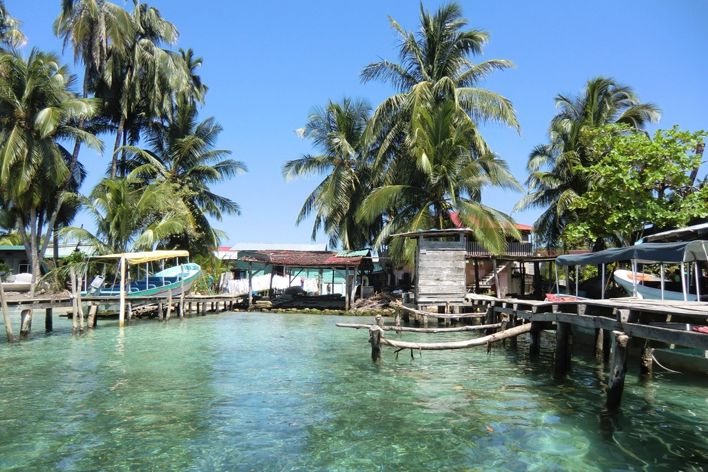Bringing Your Pet to Panama: A Coronado Owner's Guide
